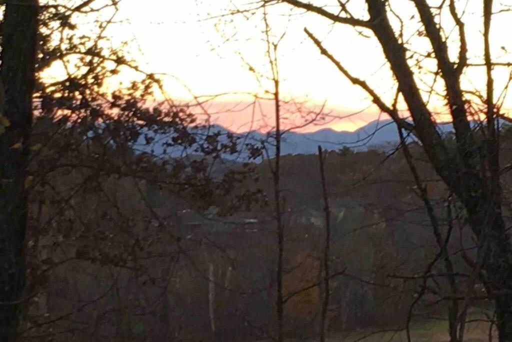 Serenity Views Comfort - Close To City & Parkway! Weaverville Exterior foto
