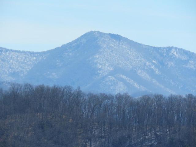 Serenity Views Comfort - Close To City & Parkway! Weaverville Exterior foto