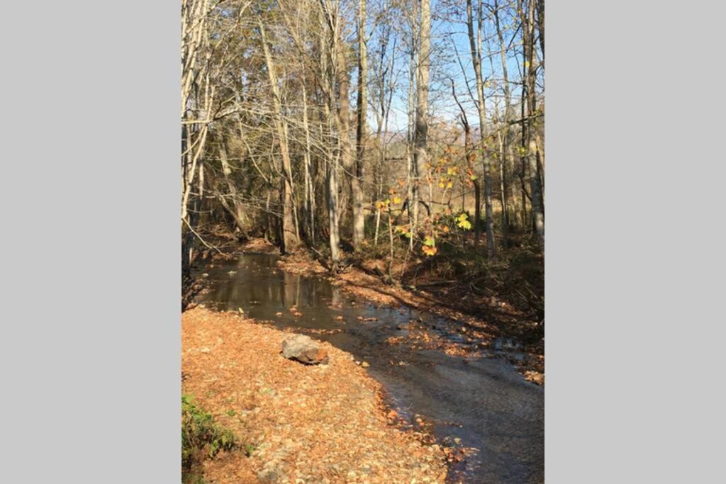 Serenity Views Comfort - Close To City & Parkway! Weaverville Exterior foto